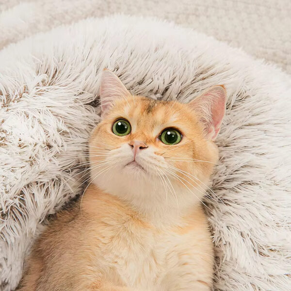Winter New Long Plush Pet Cat Bed Round Cat Cushion Cat House Warm Cat Basket Cat Sleep Bag Cat Nest Kennel For Small Dog Cat - Image 4